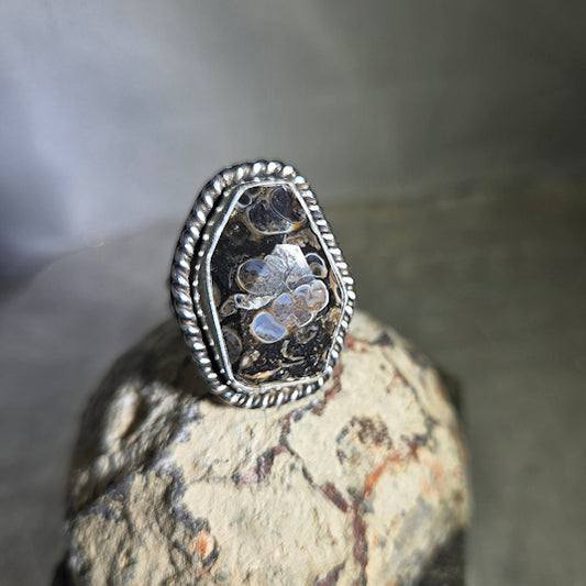 Turritella Agate Ring