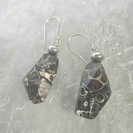Turritella Agate Earrings