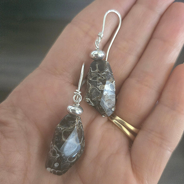 Turritella Agate Earrings
