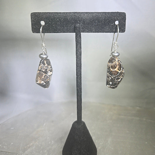 Turritella Agate Earrings