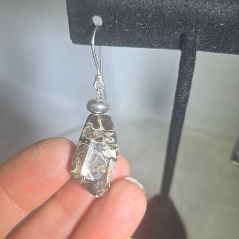 Turritella Agate Earrings