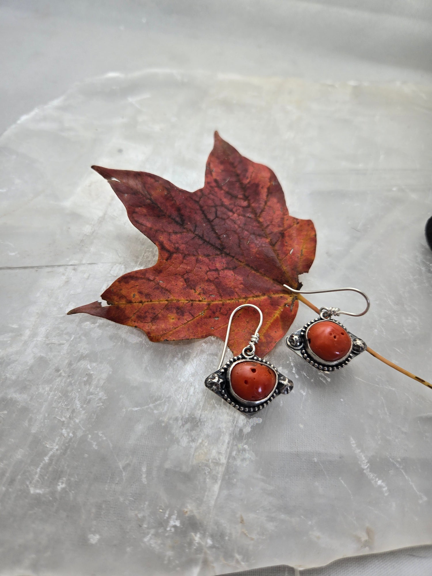 Fall Collection