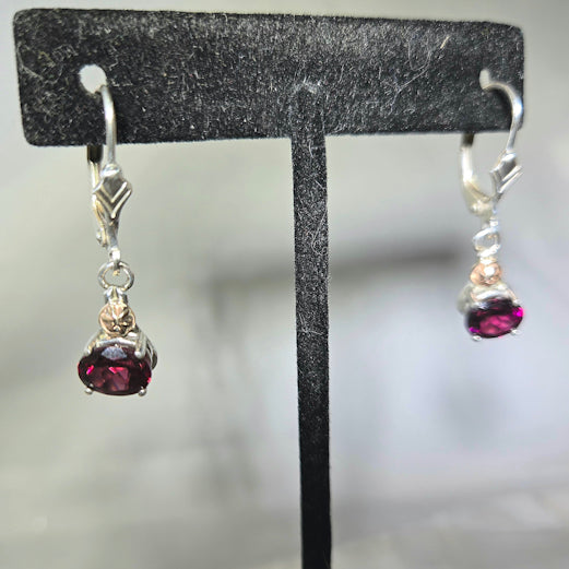 Garnet Two Tone Earrings