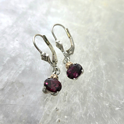 Garnet Two Tone Earrings