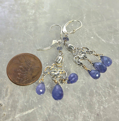 Tanzanite Briolette Earrings