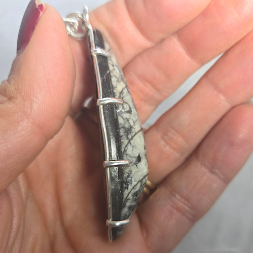 Orthoceras Pendant Necklace