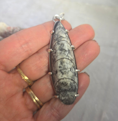 Orthoceras Pendant Necklace