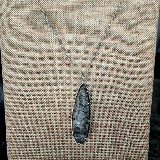 Orthoceras Pendant Necklace