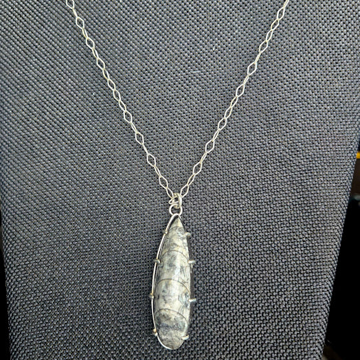 Orthoceras Pendant Necklace