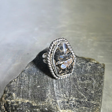 Turritella Agate Ring