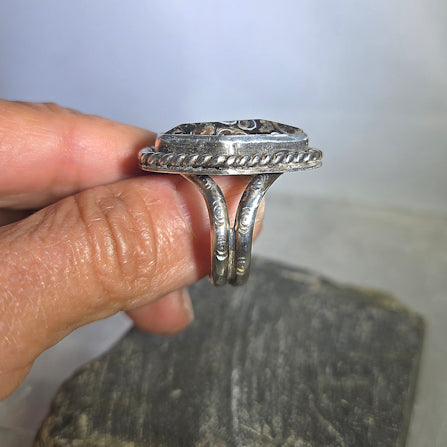 Turritella Agate Ring