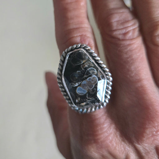 Turritella Agate Ring