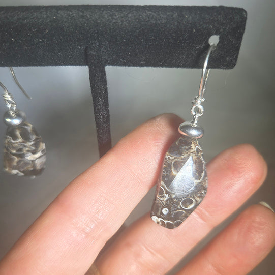 Turritella Agate Earrings
