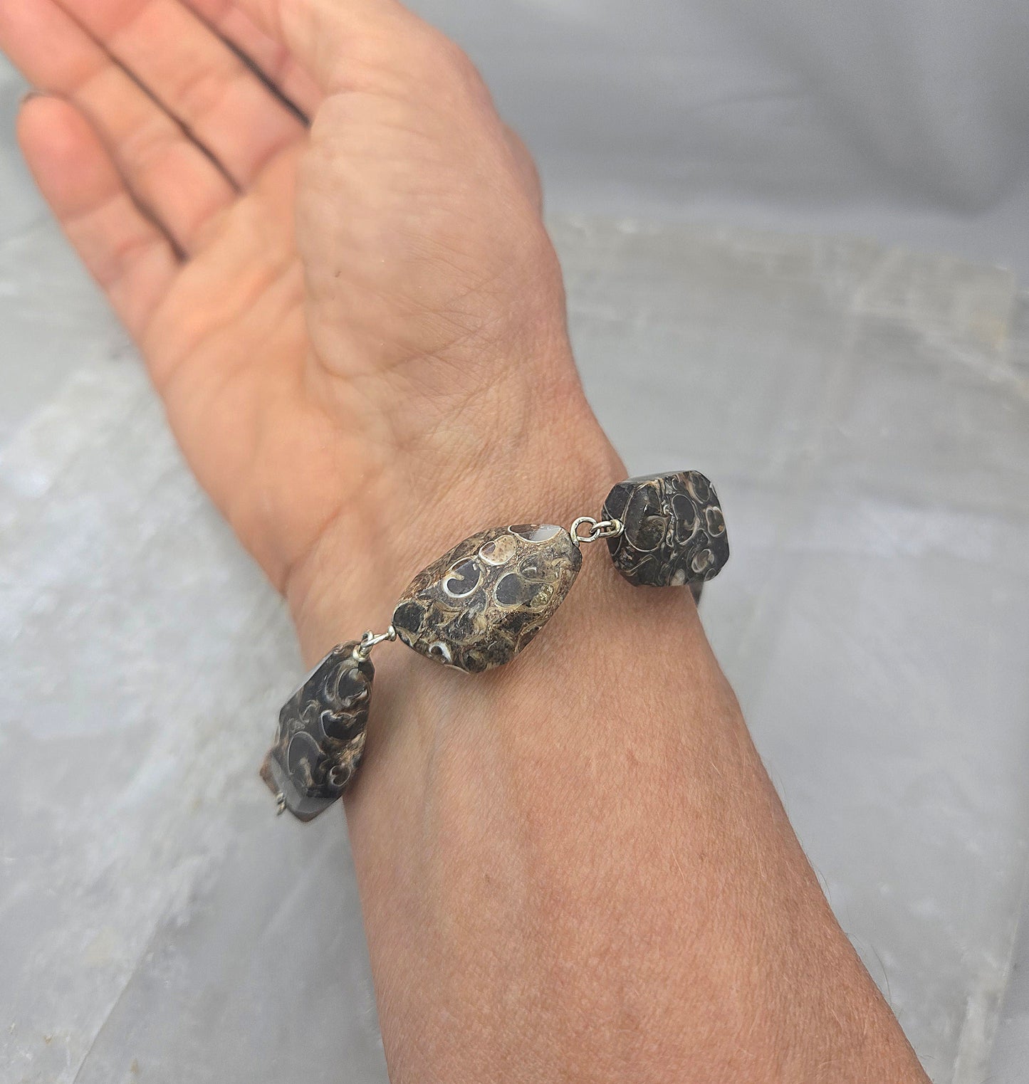 Turritella Agate Bracelet